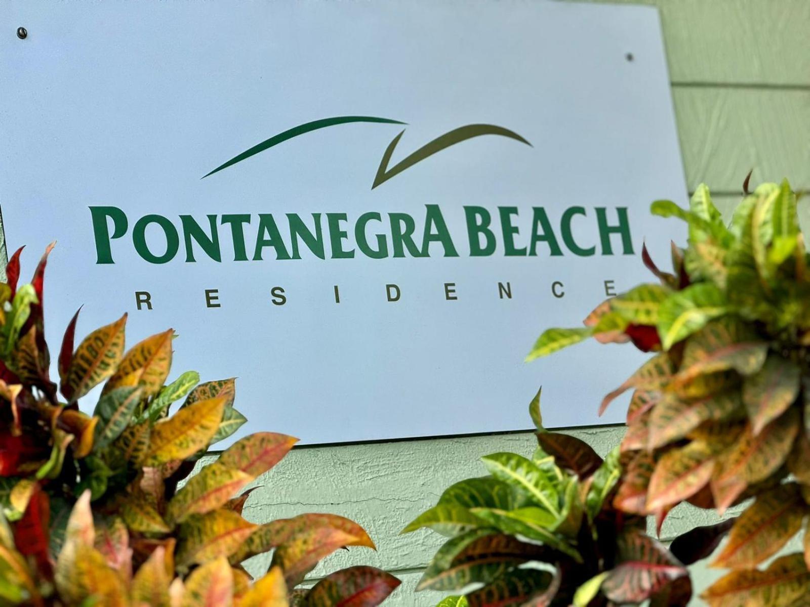 Edy Hospedagens Beira-Mar Flat 310 Com Vista Para O Morro Do Careca, Piscina E Localizacao Privilegiada Natal Eksteriør bilde